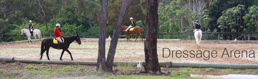 Dressage