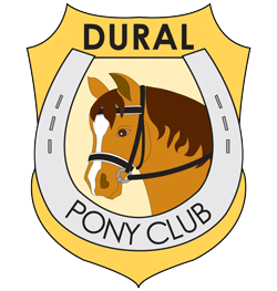 Dural Pony Club header logo